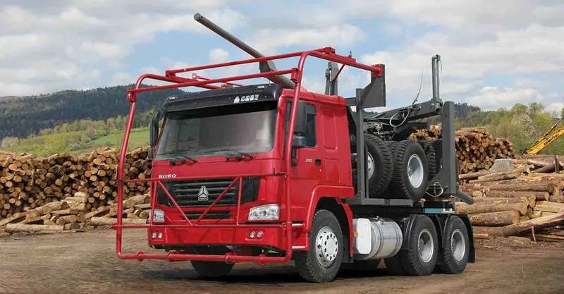Log Transport Truck 6x4 howo-7