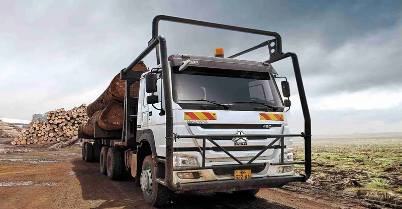 Log Transport Truck 6x4 howo-7