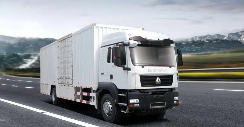 Truck de cargaison 4x2 Howo-TX
