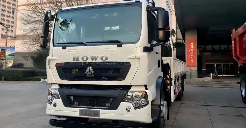 Camion de cargaison 6x4 Howo-TX