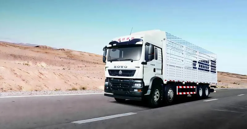 Truck de cargaison 8x4 Howo-TX