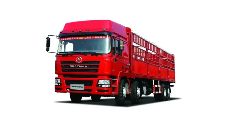 Cargo Truck 8x4 Shacman F3000